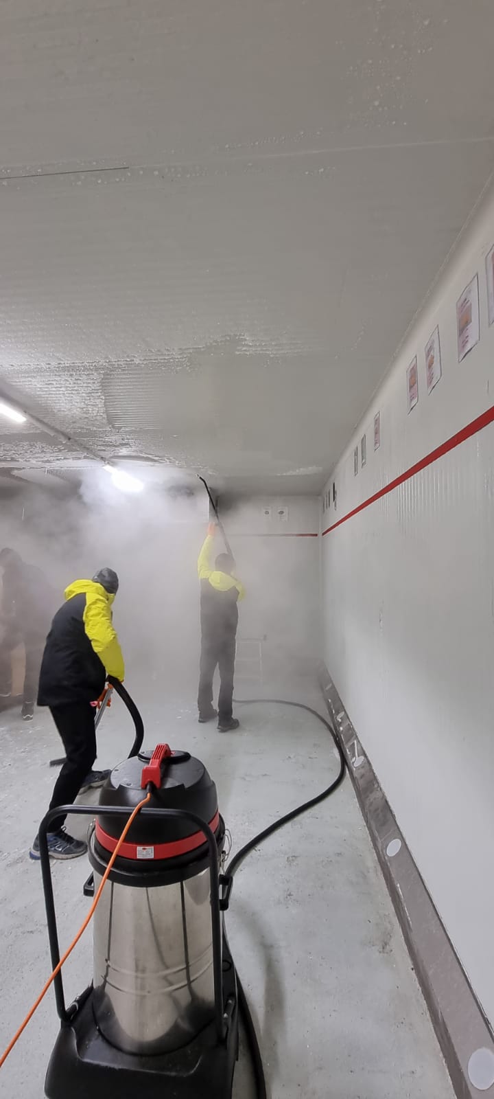Dry steam sanitization